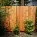 Portland cedar fence