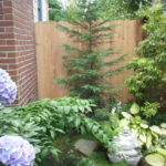 Portland fencing