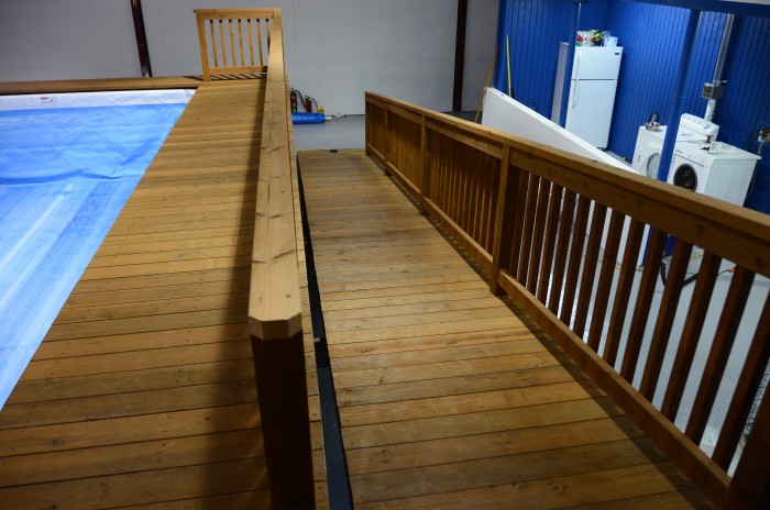 Dog pool deck