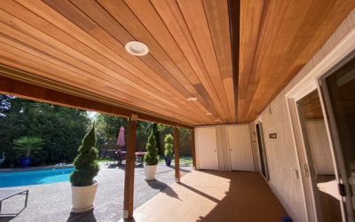 Trex Deck with Cedar Hog Panel Railing, Ceiling and RainEscape