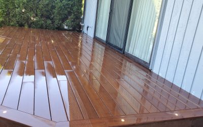 DassoXTR Bamboo Deck with Trex In-deck Lights