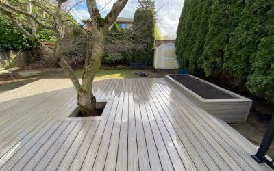 Tree-Integrated Trex Enhance Deck with Picket Rails and Garden Box