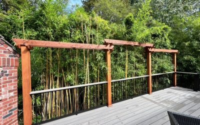 Trex Lineage Deck with Custom Cedar Privacy Screen