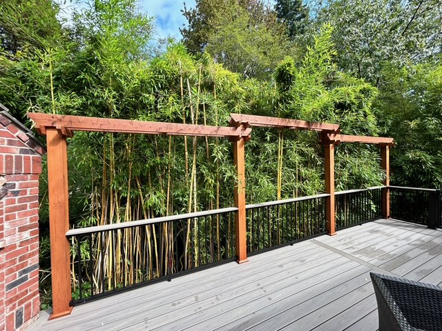 Trex Lineage Deck with Custom Cedar Privacy Screen