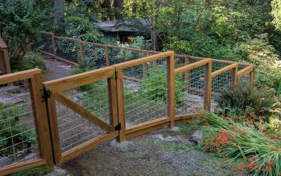 Hog Panel Fence with Gates for a Wooded Property