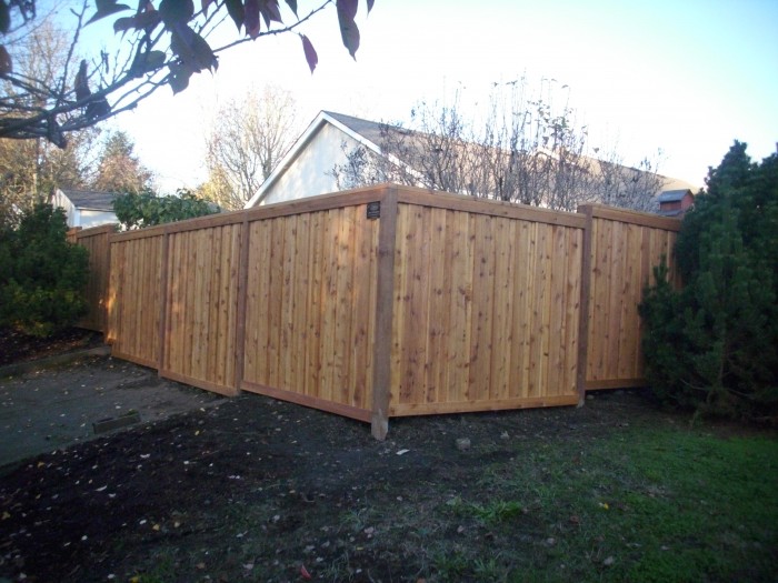 True privacy cedar fence