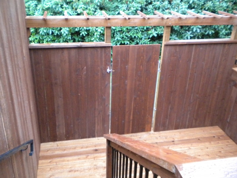Cedar gate and pergola