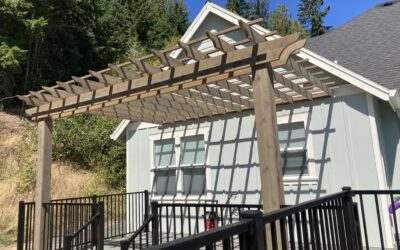 Swimming pool deck with pergola