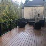 Tiki Torch Trex deck