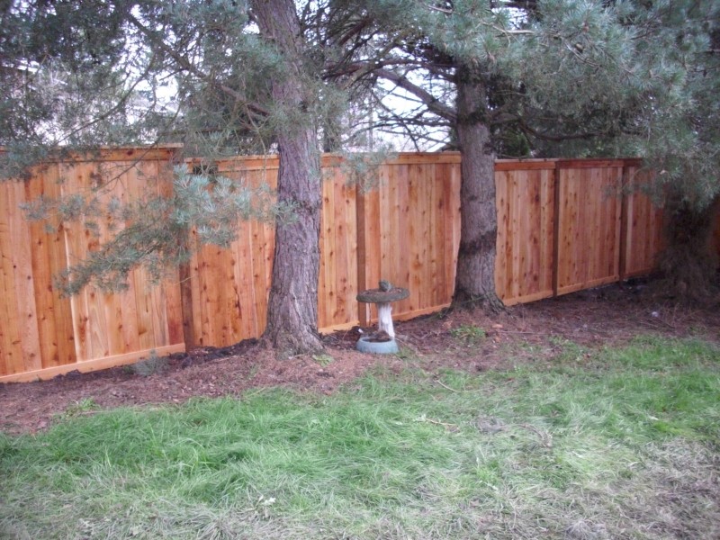 Standard Picture Frame Fence Deck Masters, LLC